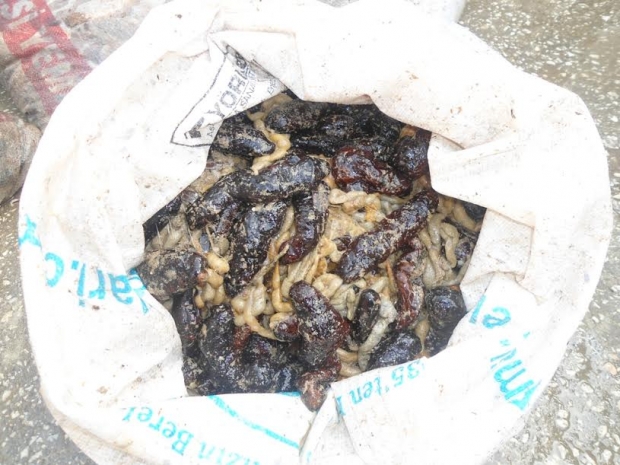 JANDARMADAN; “KAÇAK VE KAÇAKCILIĞA” GEÇİT YOK!