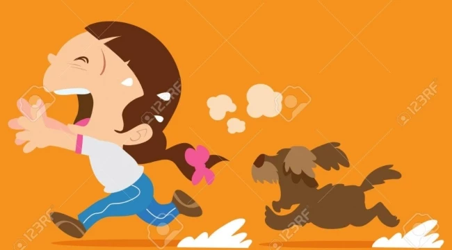 BU SEFER SAHİPLİ KÖPEK SALDIRISI