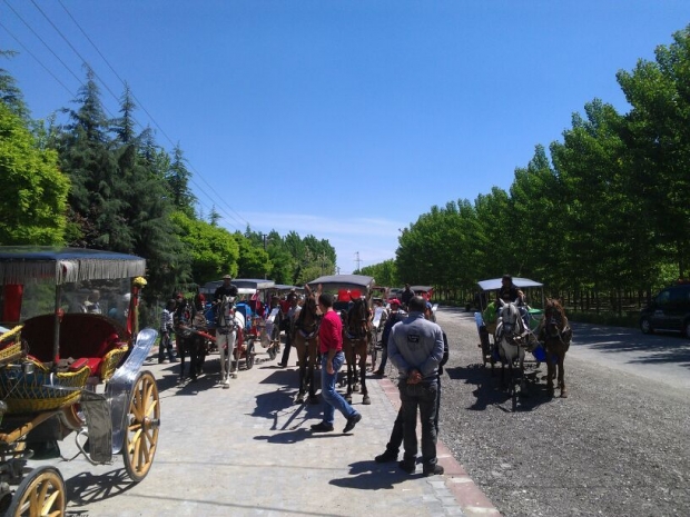 EDİRNE BELEDİYESİ FAYTONLARI DENETLENDİ.