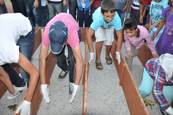 13. İpsala Çeltik Kültür ve Sanat Festivali Başladı