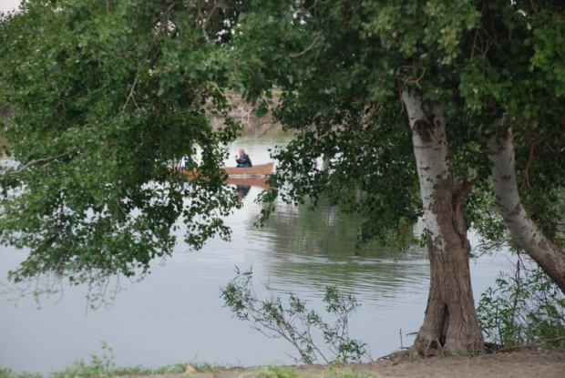 İZZET ARSEVEN ORMANINI KİRAYA  VERENLERE OY VERMEYECEĞİZ! ?