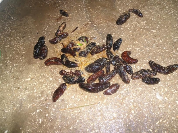 JANDARMADAN; “KAÇAK VE KAÇAKCILIĞA” GEÇİT YOK!