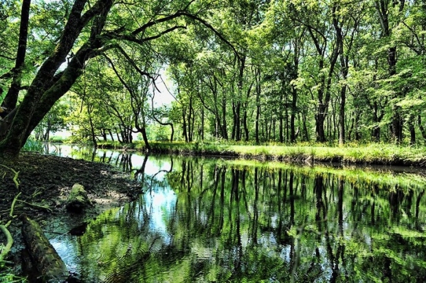 DÜNYADA EŞİ BENZERİ BULUNMAYAN İĞNEADA LONGOZLARINA DOKUNMAYIN!!!