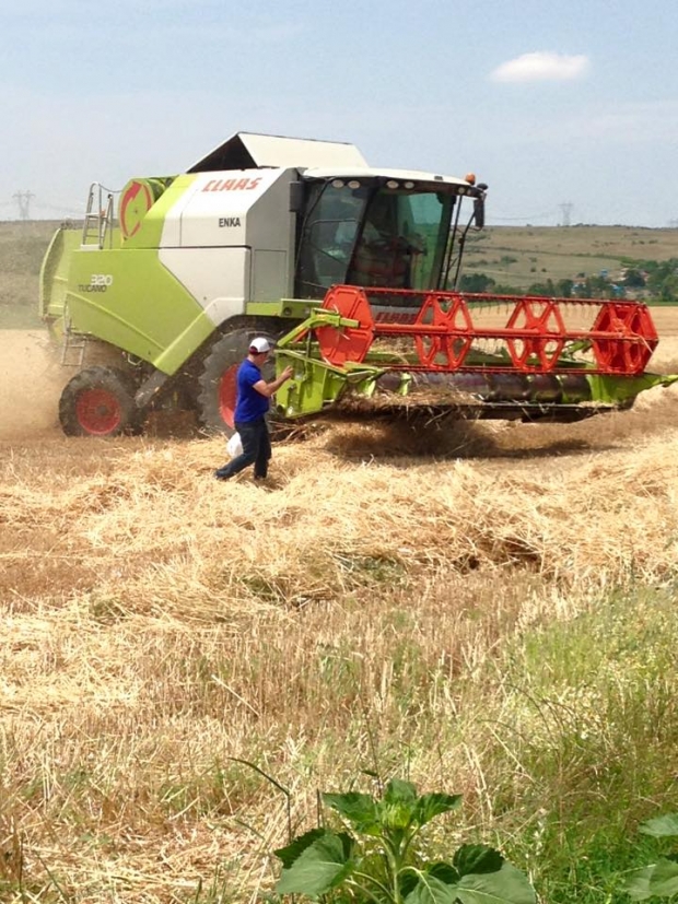 ŞEMSETTİN EMİR; “TMO ALIM YAPACAK”