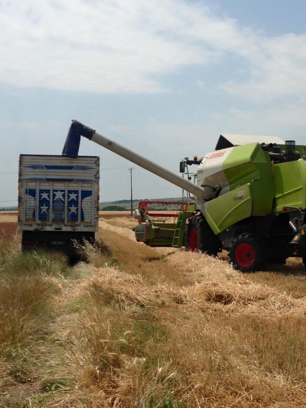 ŞEMSETTİN EMİR; “TMO ALIM YAPACAK”