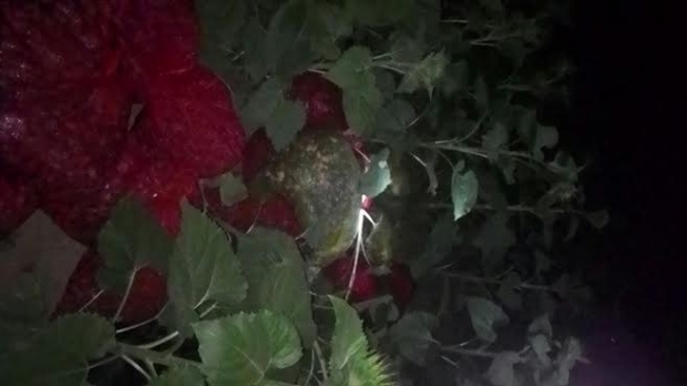 EDİRNE JANDARMASI HER AN HER YERDE